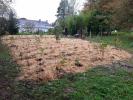 Plantation d’une mini-forêt de 600 arbres en Bretagne et mode d'emploi pour se lancer.. Dl1266?display&x=133&y=100
