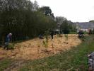 Plantation d’une mini-forêt de 600 arbres en Bretagne et mode d'emploi pour se lancer.. Dl1277?display&x=133&y=100