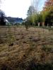 Plantation d’une mini-forêt de 600 arbres en Bretagne et mode d'emploi pour se lancer.. Dl1304?display&x=75&y=100